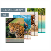 Sammelmappe für A3 | A3, Füllhöhe: 20 mm, sortiert