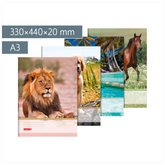 Sammelmappe | A3, Füllhöhe: 20 mm, sortiert