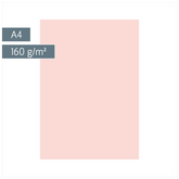 Multifunktionspapier Universalpapier | A4, 160 g/m², rosé, 25 Blatt
