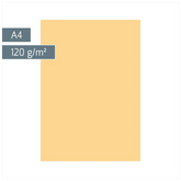 Multifunktionspapier Universalpapier | A4, 120 g/m², honig, 35 Blatt