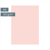 Multifunktionspapier Universalpapier | A4, 120 g/m², rosé, 35 Blatt