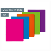 Ringbuch FACT!pp | A4, 2 Ringe, Füllhöhe: 25 mm, sortiert