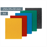 Ringbuch FACT!plus | A4, 2 Ringe, Füllhöhe: 30 mm, sortiert