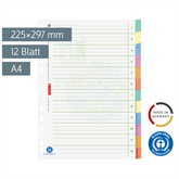 Ringbuchregister Recycling | A4, 12 Blatt