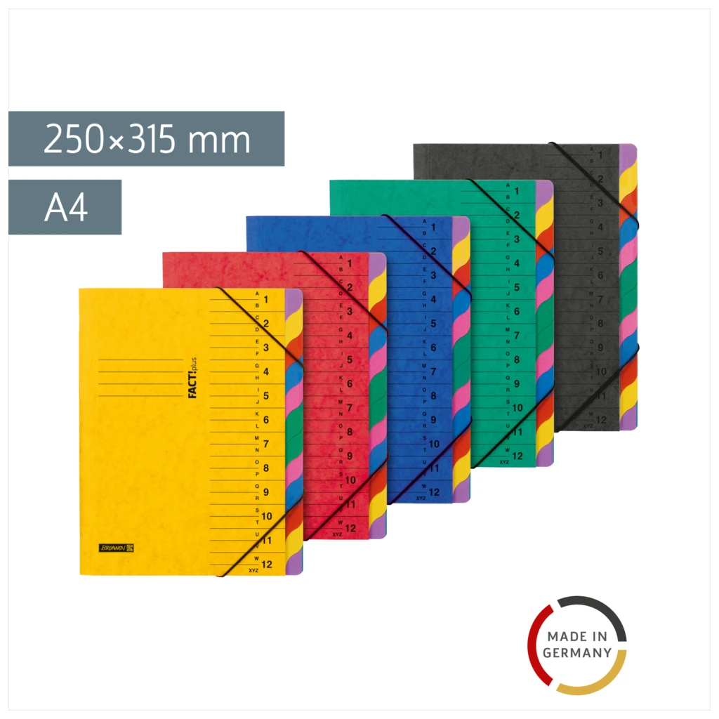 Ordnungsmappe FACT!plus | A4, 12 Fächer, sortiert