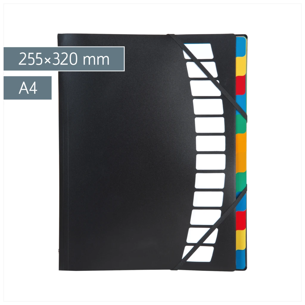 Ordnungsmappe | A4, 12 Fächer, schwarz