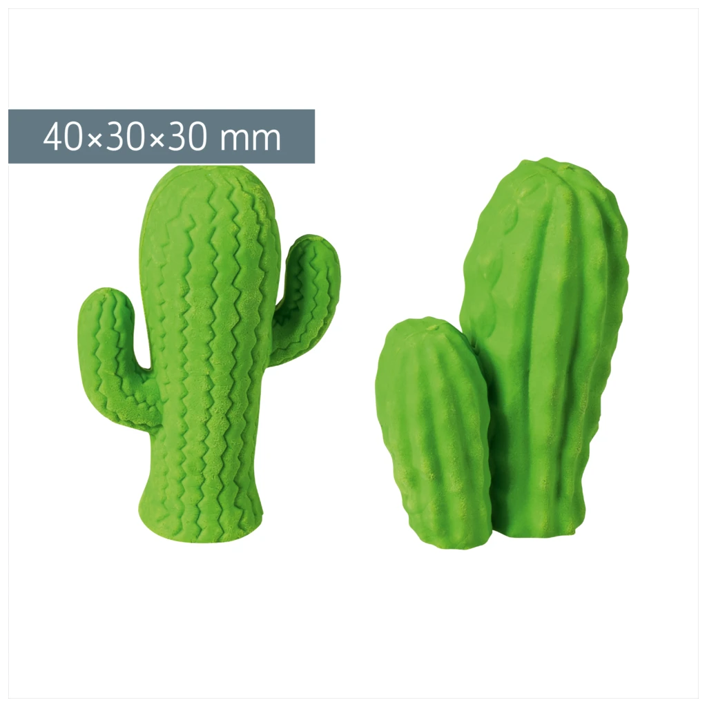 Radiergummi „Kaktus“ 3D | sortiert