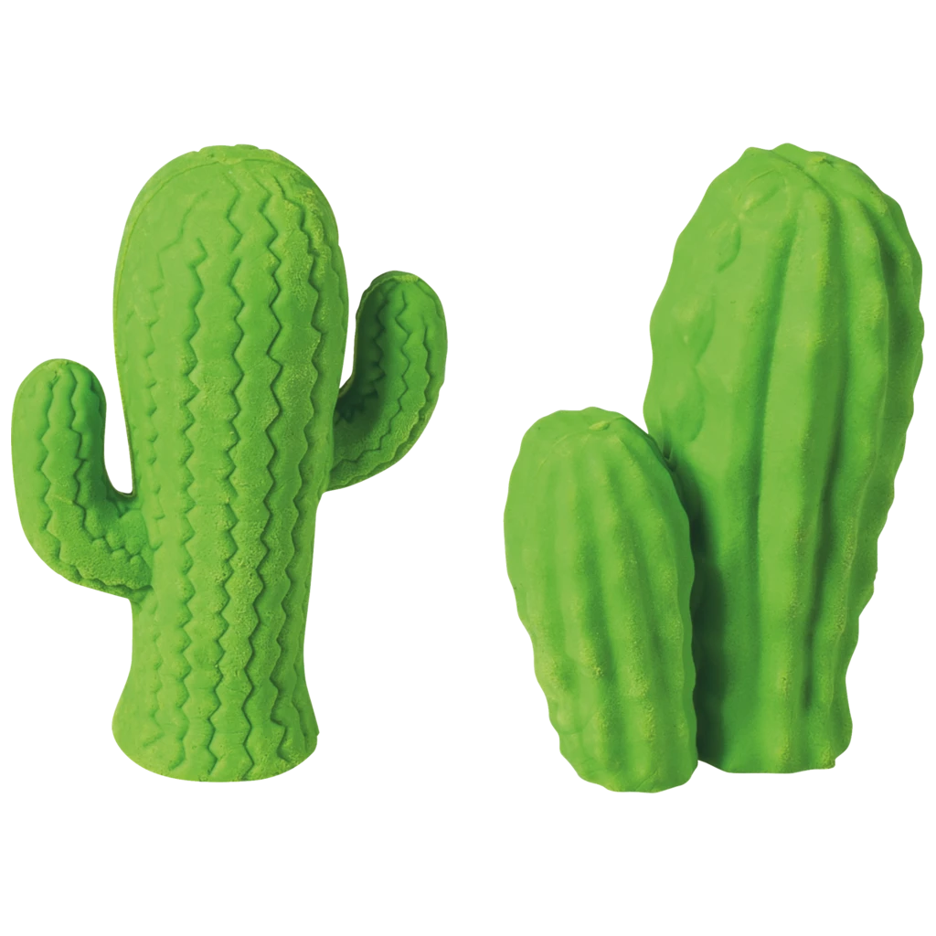 Radiergummi „Kaktus“ 3D | sortiert