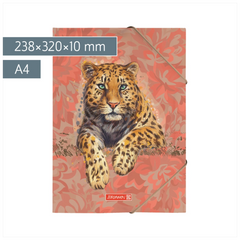 Sammelmappe „Leopard“ Safari World | A4, Füllhöhe: 10 mm