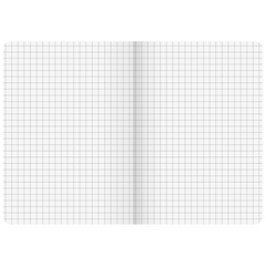 Notizbuch Premium FACT!plus Kladde | A6, kariert, braun