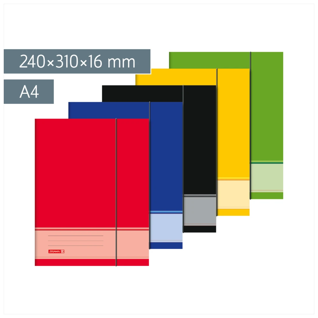 Sammelmappe für A4 | A4, Füllhöhe: 16 mm, sortiert