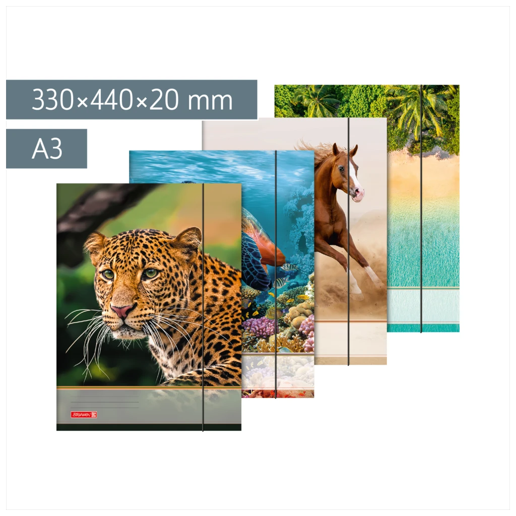 Sammelmappe für A3 | A3, Füllhöhe: 20 mm, sortiert