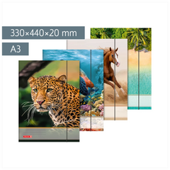 Sammelmappe für A3 | A3, Füllhöhe: 20 mm, sortiert