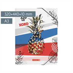Sammelmappe Pineapple | A3, Füllhöhe: 10 mm