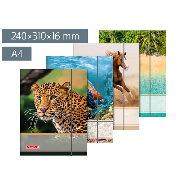 Sammelmappe für A4 | A4, Füllhöhe: 16 mm, sortiert