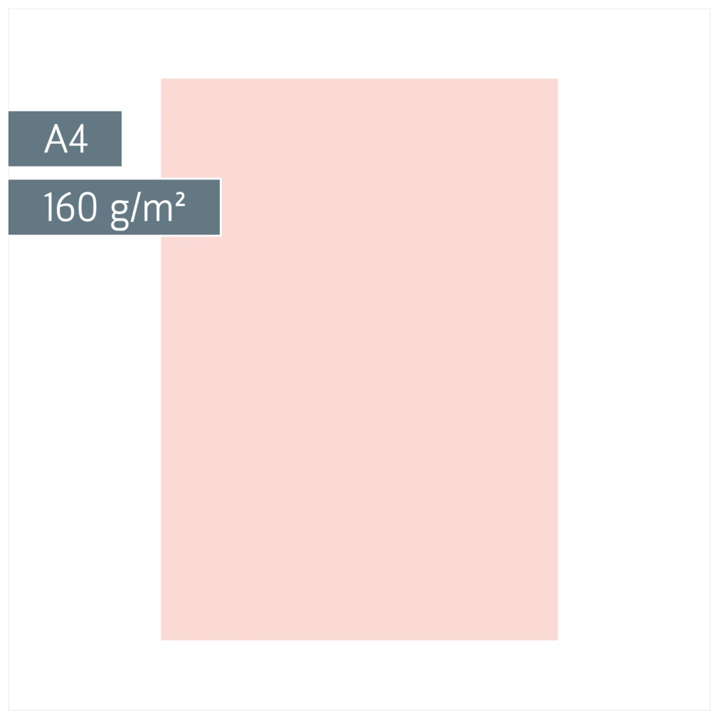 Multifunktionspapier Universalpapier | A4, 160 g/m², rosé, 25 Blatt