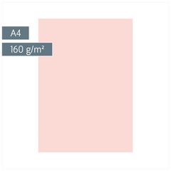 Multifunktionspapier Universalpapier | A4, 160 g/m², rosé, 25 Blatt