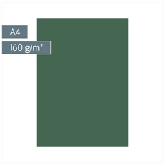 Multifunktionspapier Universalpapier | A4, 160 g/m², moosgrün, 25 Blatt