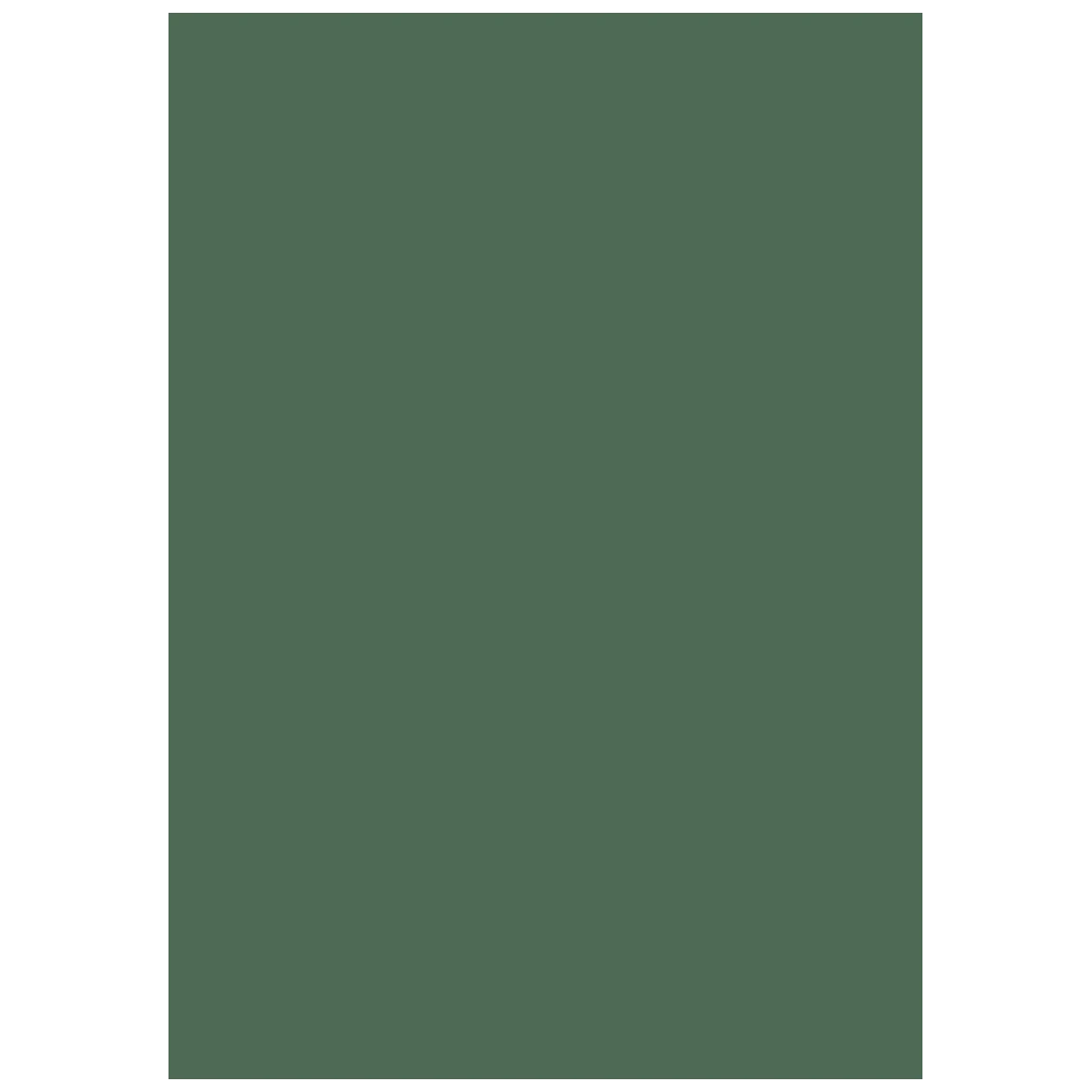 Multifunktionspapier Universalpapier | A4, 160 g/m², moosgrün, 25 Blatt