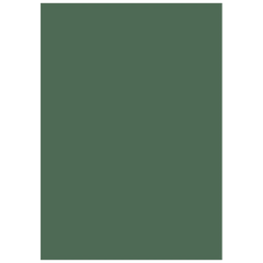 Multifunktionspapier Universalpapier | A4, 160 g/m², moosgrün, 25 Blatt