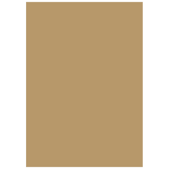 Multifunktionspapier Universalpapier | A4, 160 g/m², sand, 25 Blatt