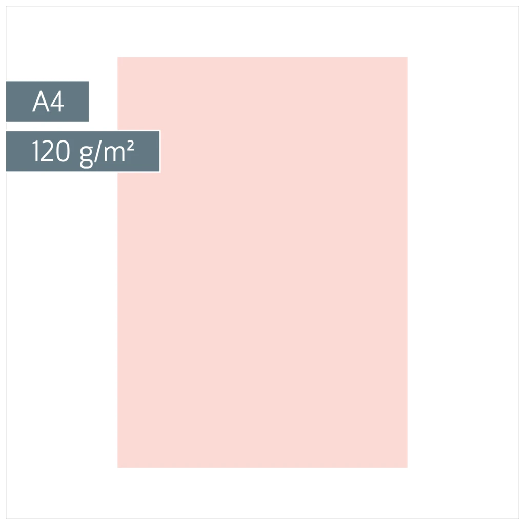 Multifunktionspapier Universalpapier | A4, 120 g/m², rosé, 35 Blatt