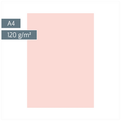 Multifunktionspapier Universalpapier | A4, 120 g/m², rosé, 35 Blatt
