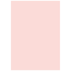 Multifunktionspapier Universalpapier | A4, 120 g/m², rosé, 35 Blatt