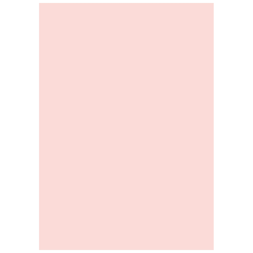 Multifunktionspapier Universalpapier | A4, 80 g/m², rosé, 50 Blatt