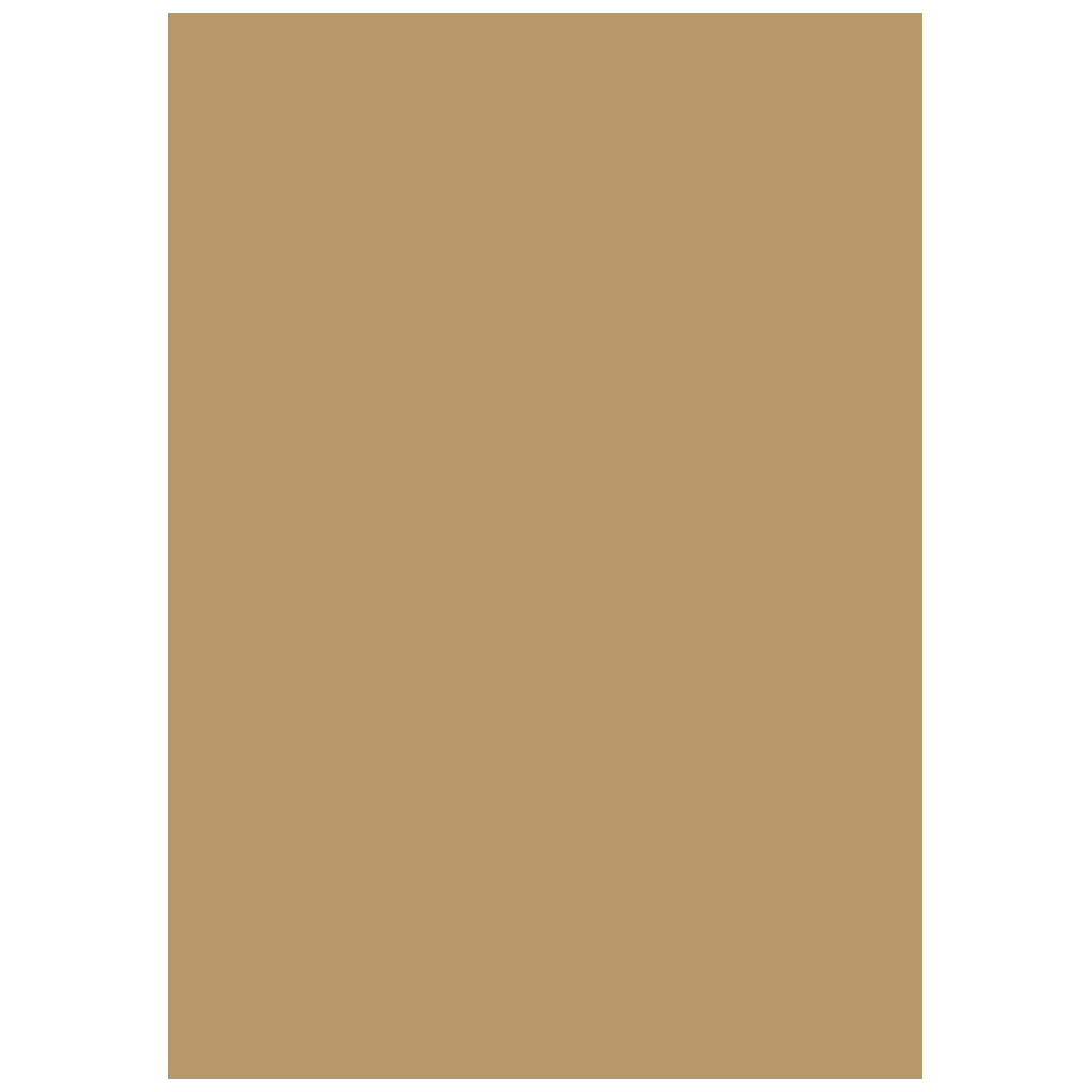 Multifunktionspapier Universalpapier | A4, 80 g/m², sand, 50 Blatt