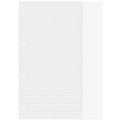 Schulblock gelocht | A4, Lineatur 26, 50 Blatt, rot