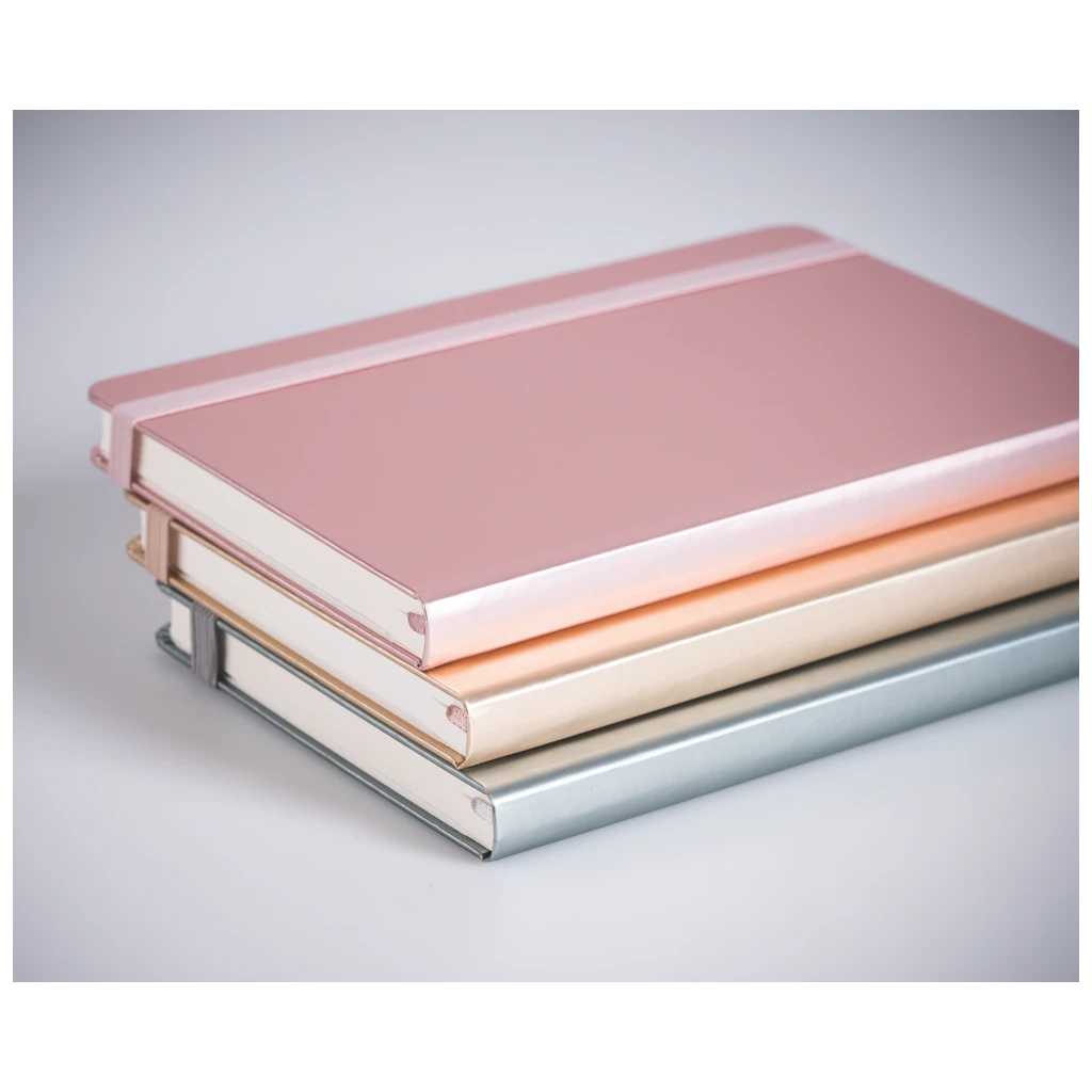 Notizbuch Kompagnon Metallic | A5, punktiert, Gummizugverschluss, silber