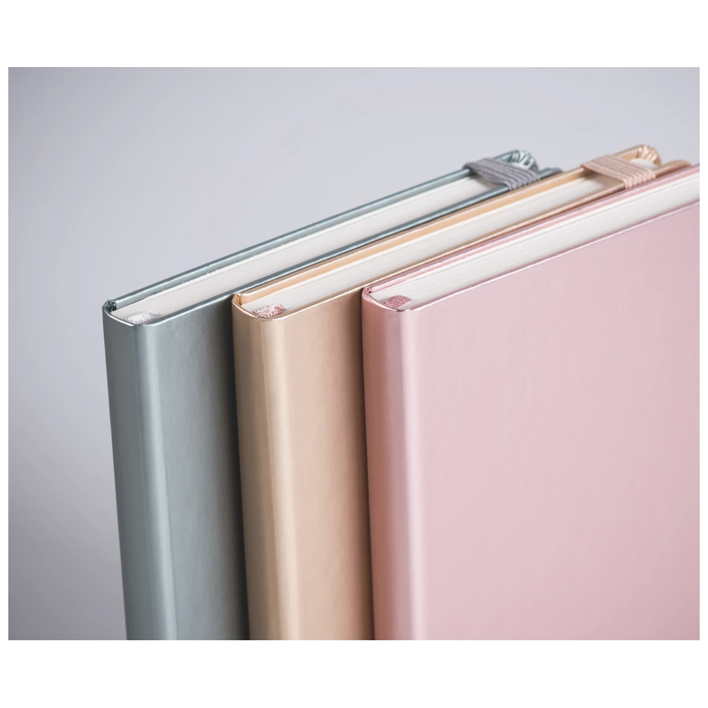 Notizbuch Kompagnon Metallic | A5, punktiert, Gummizugverschluss, silber