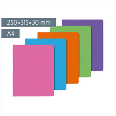 Ringbuch FACT!plus | A4, 4 Ringe, Füllhöhe: 30 mm, sortiert
