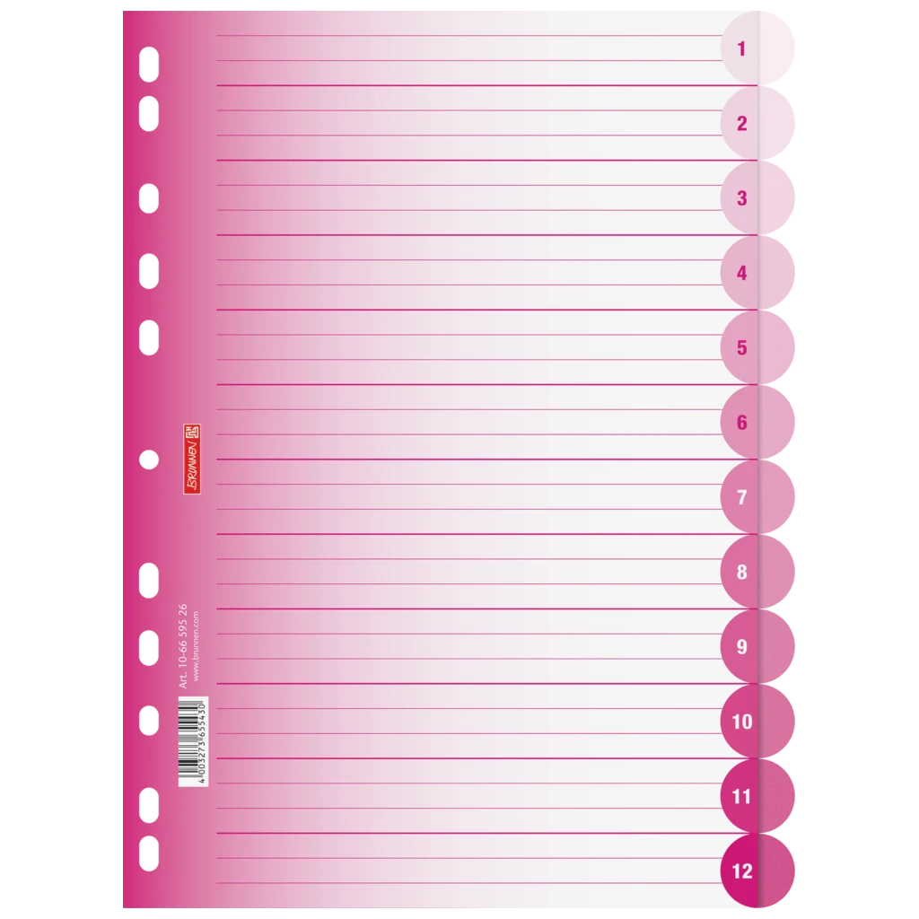 Ringbuchregister Colour Code | A4, 12 Blatt, pink