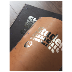 Collegeblock Premium Student FACT!plus | A4, Lineatur 27, 80 Blatt, schwarz/silber