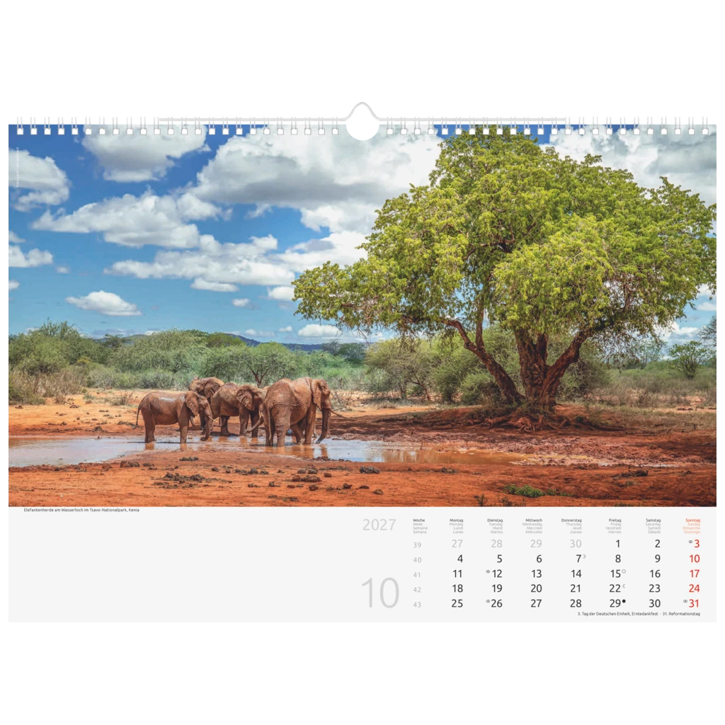 Bildkalender 2027 „Reise um die Welt“ | 44×31 cm