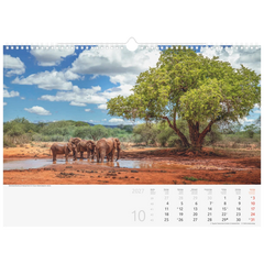 Bildkalender 2027 „Reise um die Welt“ | 44×31 cm