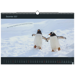 Bildkalender 2027 „Stille Momente“ | 44×31 cm