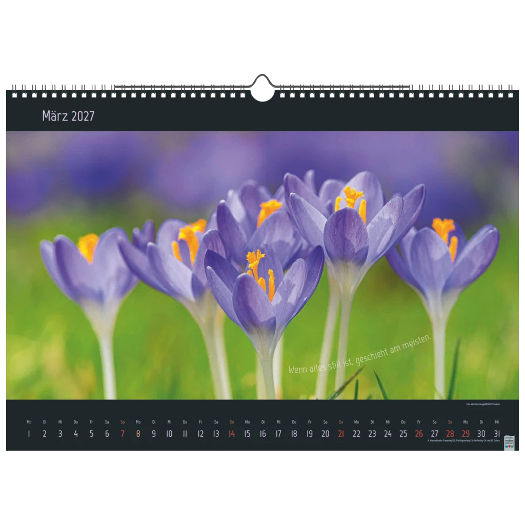 Bildkalender 2027 „Stille Momente“ | 44×31 cm