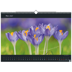 Bildkalender 2027 „Stille Momente“ | 44×31 cm