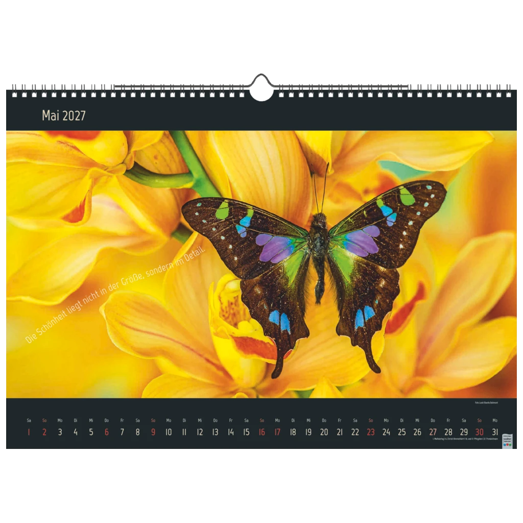 Bildkalender 2027 „Stille Momente“ | 44×31 cm