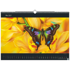 Bildkalender 2027 „Stille Momente“ | 44×31 cm