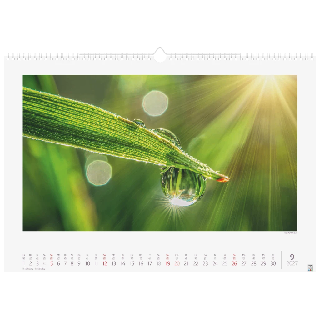 Bildkalender 2027 „Lichtimpressionen“ | 49×34 cm