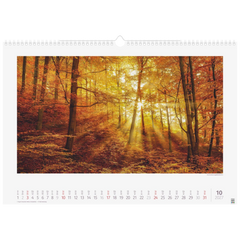 Bildkalender 2027 „Lichtimpressionen“ | 49×34 cm