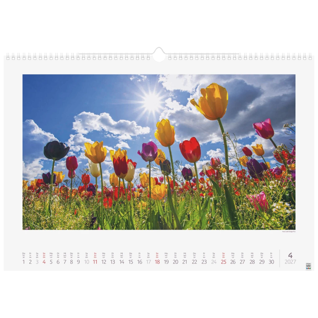 Bildkalender 2027 „Lichtimpressionen“ | 49×34 cm