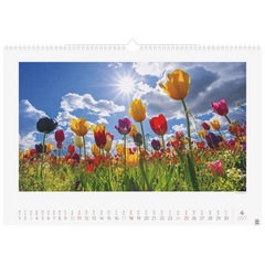 Bildkalender 2027 „Lichtimpressionen“ | 49×34 cm