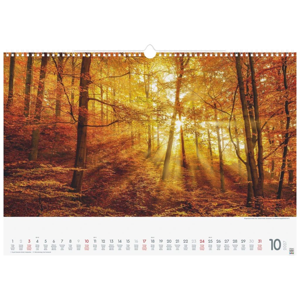 Bildkalender 2027 „Wunderwerke der Natur“ | 49×34 cm