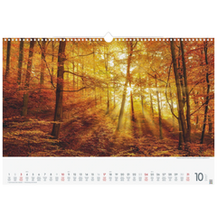 Bildkalender 2027 „Wunderwerke der Natur“ | 49×34 cm