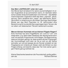 Abreißkalender 2027 Nr. 13 | 98×142 mm